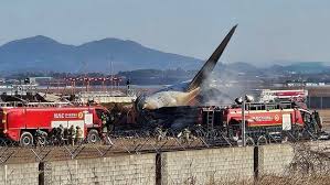 South Korea Aeroplane Crash: ১৮১ জনকে নিয়ে ভেঙে পড়ল বিমান
