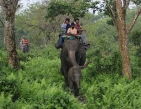 GaruMara national park