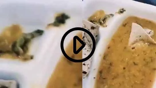 Uttar Pradesh Hapur Lizard Found In Food Served By Hospital Patient Condition Worsened