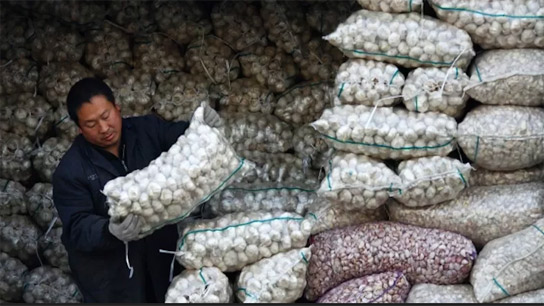 Doctors are also warning about Chinese garlic