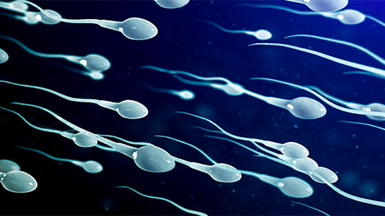 The controversy of ‘150 gm semen’ in RG Kar Rape