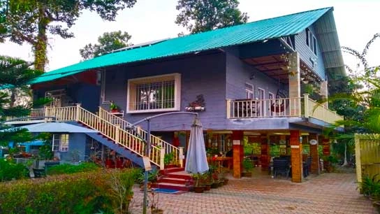 Hornbill Nest Homestay