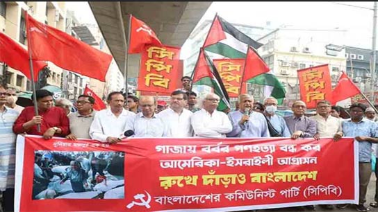 was with the Palestinian liberation struggle