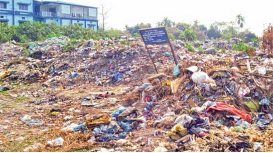 The municipality is dumping garbage there