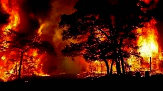 The flames of fire spread all around