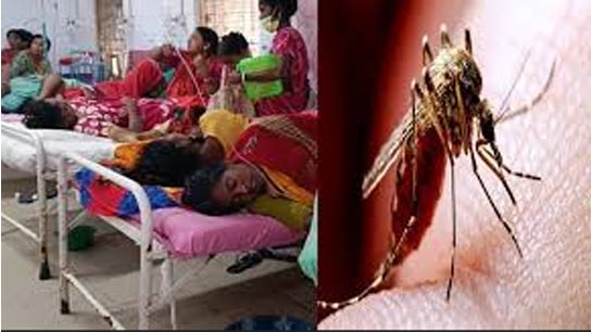 Kolkata Dengue and Malaria