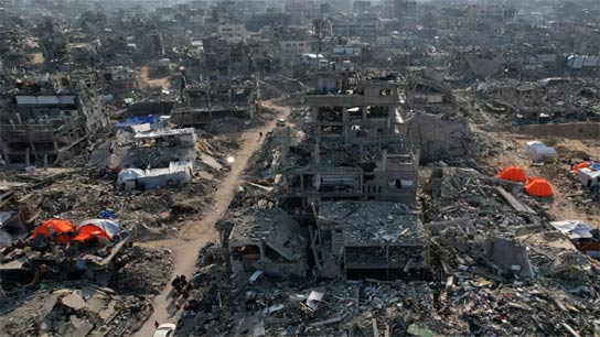 Call for a successful global strike