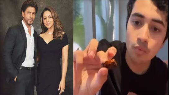 Shahrukh khan gauri khans posh restaurant torii reacts to fake paneer found in their dish by youtuber