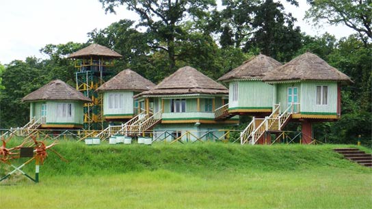 Rents of four forest bungalows under the Gorumara Wildlife Department doubled in one go
