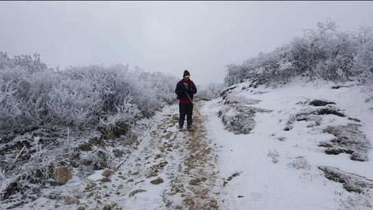 Snowfall in Sandakphu, thick sheet of ice on roads
