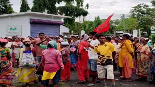 Some people showing protest in tea garden