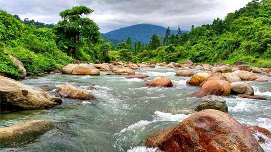 Heavy rain in North bengal bhutan hill