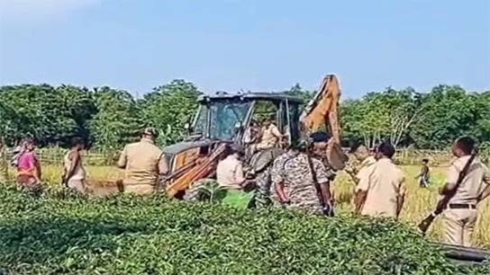 JCB running in tea garden in Cooch Behar