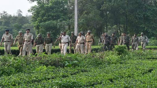 Surveillance is being carried out day and night with elephants