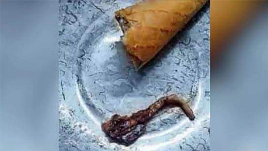 Lizard Found in Ice Cream in Punjab