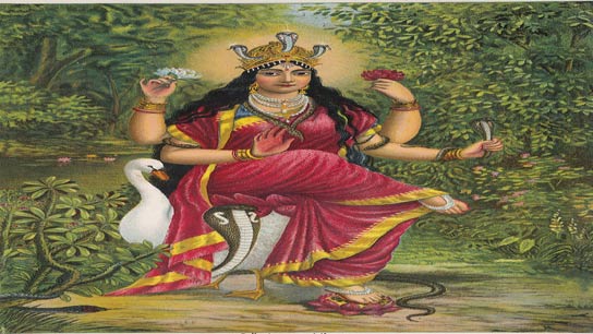 manasa puja 2025 reasons of manasa puja according to purana