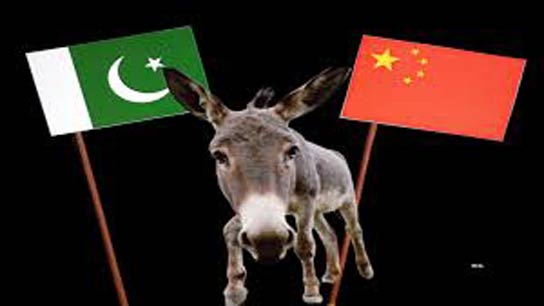 There are more donkeys than people in Pakistan! Now the Shehbaz Sharif Government is making money by sendi