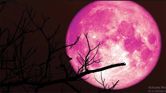 The June supermoon is called the 'Strawberry Moon'