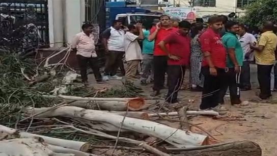 Two persons died after a tree fell on them in Howrah Municipality