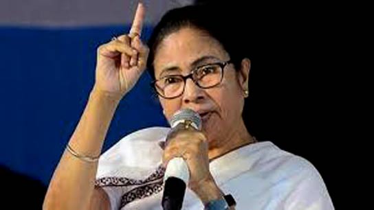 Targeting the 2026 polls, TMC started the process of using the organization and the government in parallel
