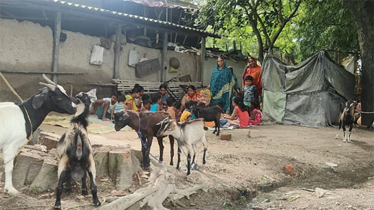 ICDS centre in Arambagh has open toilet, no building, no cook