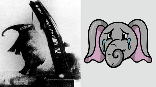 This five-ton Asian elephant was the main attraction of the Sparks World Famous Traveling Circus for many years