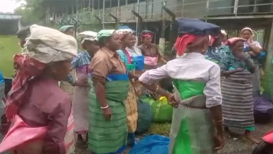 Tea garden closed in Jalpaiguri