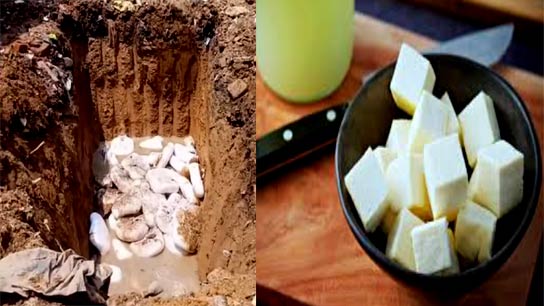 FSSAI Burried 4280 kg Cancerous Paneer in the Ground