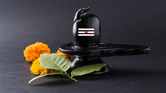 If you do shiv pooja with this flower your financial condition will improve