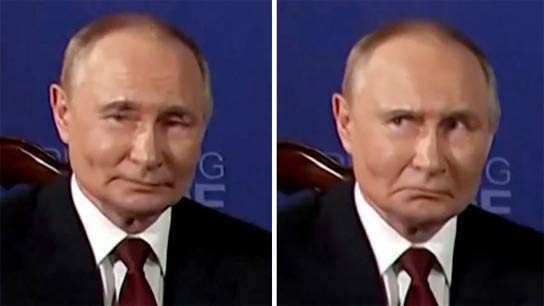 Did Putin send body double to meet trump in Alaska