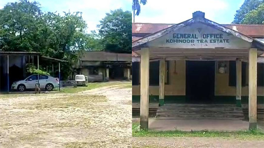 Dooars tea garden closed due to bonus dispute, 900 workers unemployed ahead of Puja