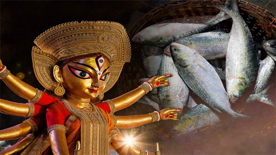 durga puja 2025 bangladesh to export 12oo tons of hilsa in india