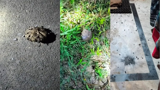 Allegations of widespread bombardment surrounding the cooperative elections