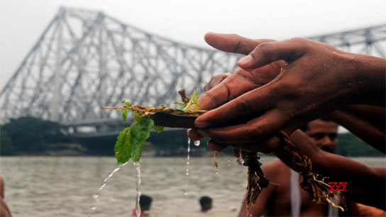 Bengalis offer mango tarpan to their ancestors from morning at every ghat