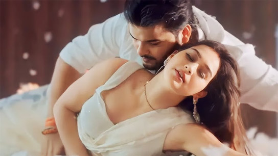 A recent book claims that 'wives' are available for rent in Thailand