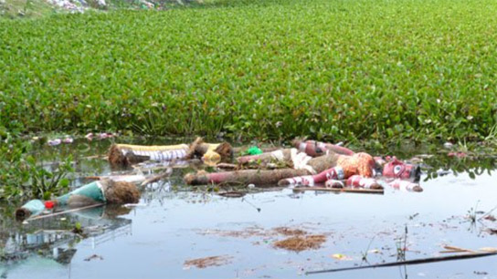 Yamuna Dighi in name, but actually it's just a pond. I don't know how long it hasn't been cleaned