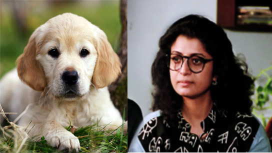 Dog abused at prestigious shelter! Animal lover Devashree faces extreme humiliation as she rushes to the rescue