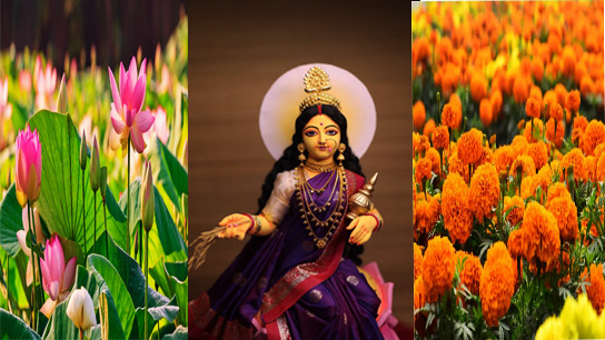 At the center of worship of Goddess Lakshmi is a flower without which the worship of the goddess is incomplete
