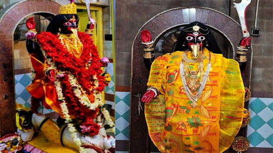 This Kali was satisfied with chicken eggs! The incident that will surprise you