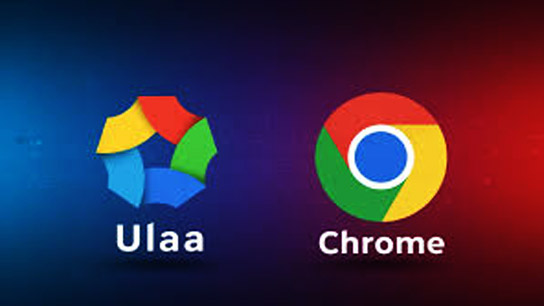 Indian Web Browser Development Challenge