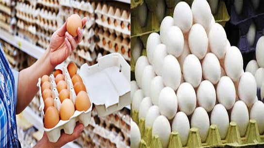 Egg prices to increase further in Kolkata