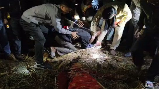 A hand emerged from inside the paddy! Farmers in Jalpaiguri's Dhupguri were shocked