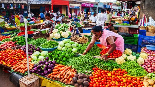 Winter vegetables are slowly starting to arrive in the market; price fluctuations in the vegetable market today