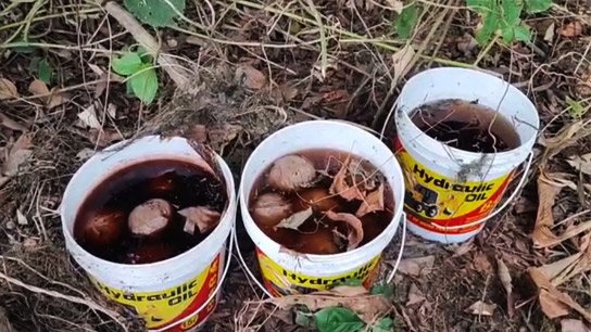 Lichubagan, Shamsherganj, Devidaspur! Bombs recovered in various places in Murshidabad