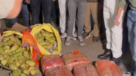 Drug smuggling under the guise of vegetable sacks