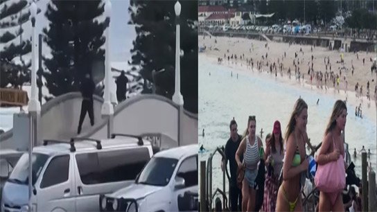 Gunman attacks Jewish festival on Sydney beach, 10 dead, video of massacre goes viral