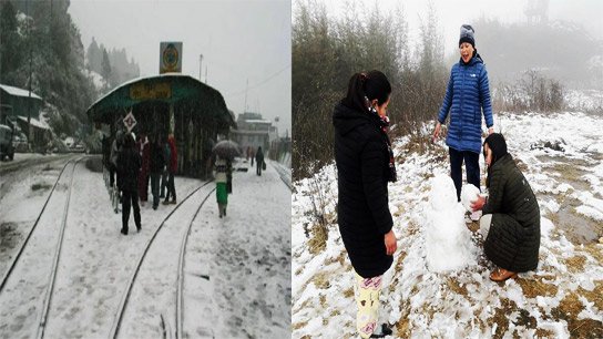 Darjeeling Snowfall 2025: জমজমাট দার্জিলিং, রাতারাতি বাড়ল বুকিং; বরফ পড়বে দার্জিলিং-এ!