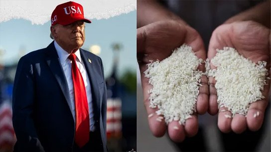 US President Donald Trump hints fresh tariff on Indian Rice