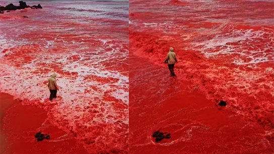 Not water, but blood is flowing! Tensions are high around Iran's Strait of Hormuz