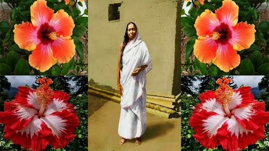 Humanity infused with consciousness; Mother of the Universe, Sarada Devi